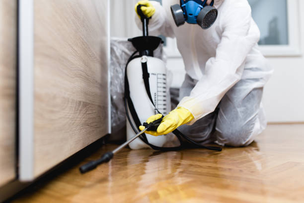 Best Flea Control Services  in Tn Lakes, WI