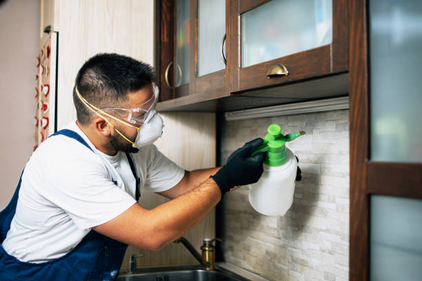 Trusted Twin Lakes, WI Pest Control Experts