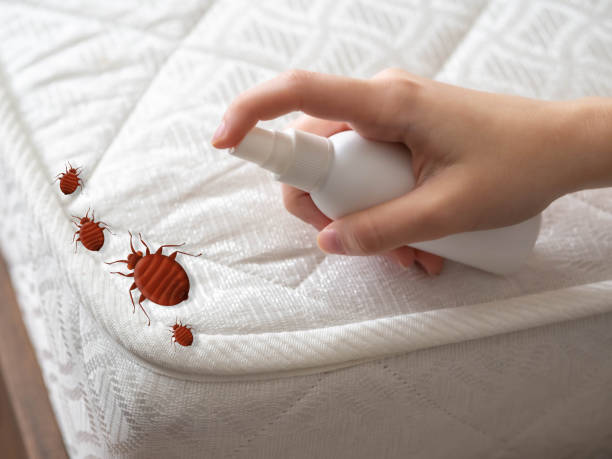Best Pest Control Near Me  in Tn Lakes, WI
