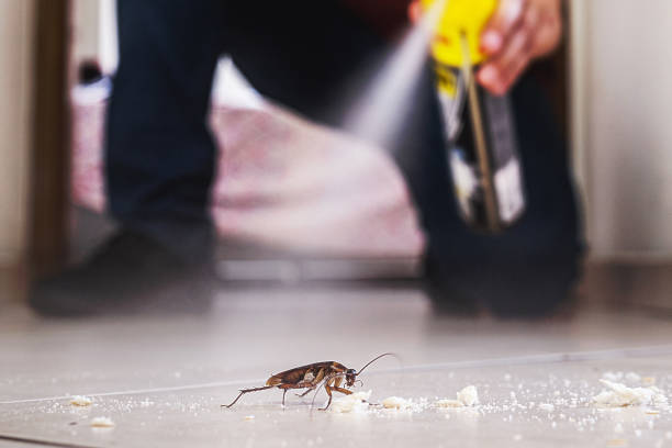 Best Pest Control for Restaurants  in Tn Lakes, WI