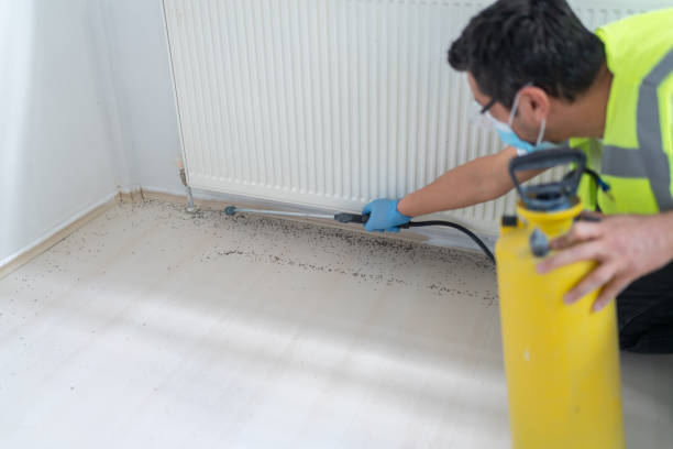 Wasp Removal Services in Twin Lakes, WI