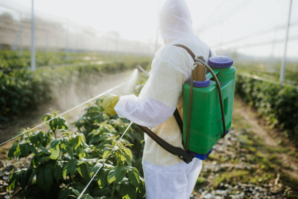 Best Pest Control for Homes  in Tn Lakes, WI